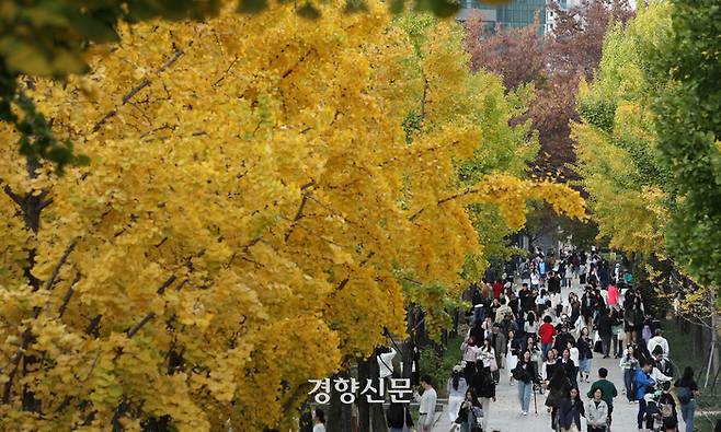 포근한 날씨를 보인 3일 서울 성동구 서울숲을 찾은 시민들이 노랗게 물든 은행나무 밑을 거닐고 있다.