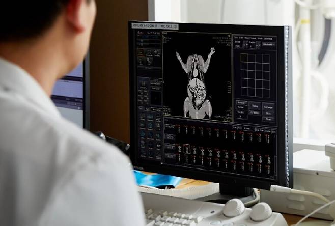 간종양과 같은 질환은 조기에 발견하고 치료하는 게 중요하다. (SD동물의료센터 제공) ⓒ 뉴스1