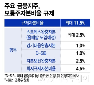 주요 금융지주, 보통주자본비율 규제/그래픽=이지혜