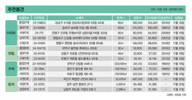 그래픽=강지호 디자인 기자