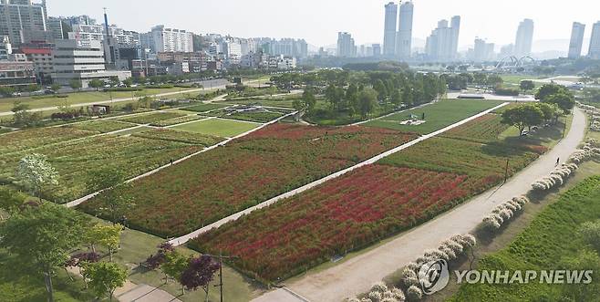 태화강 국가정원 전경 [울산시 제공. 재판매 및 DB 금지]