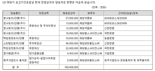 제일파마홀딩스가 올해 상반기까지 연결기업에 제공한 담보현황./사진=금융감독원 전자공시시스템