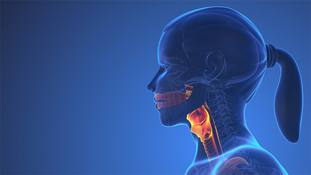 갑상선암도 적극적인 관리과 검사가 필요한 질환임을 잊어서는 안 된다｜출처: 게티이미지뱅크