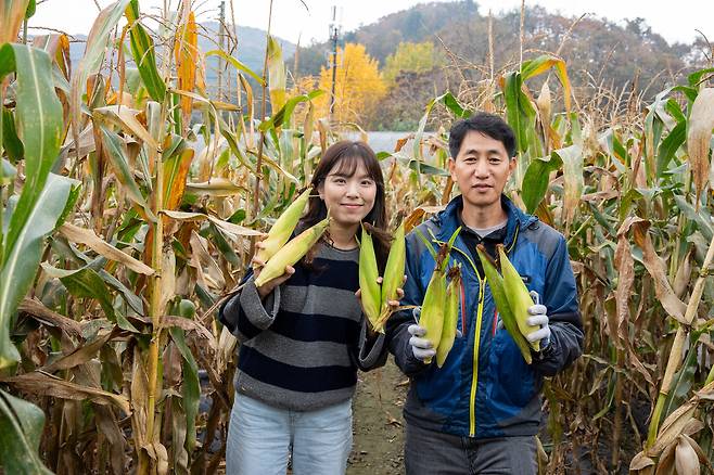 김갑곤(오른쪽), 최문영 이마트 채소바이어가 충북 괴산 협력농가에서 4일 갓 수확한 찰옥수수를 들어 보이고 있다(이마트 제공).