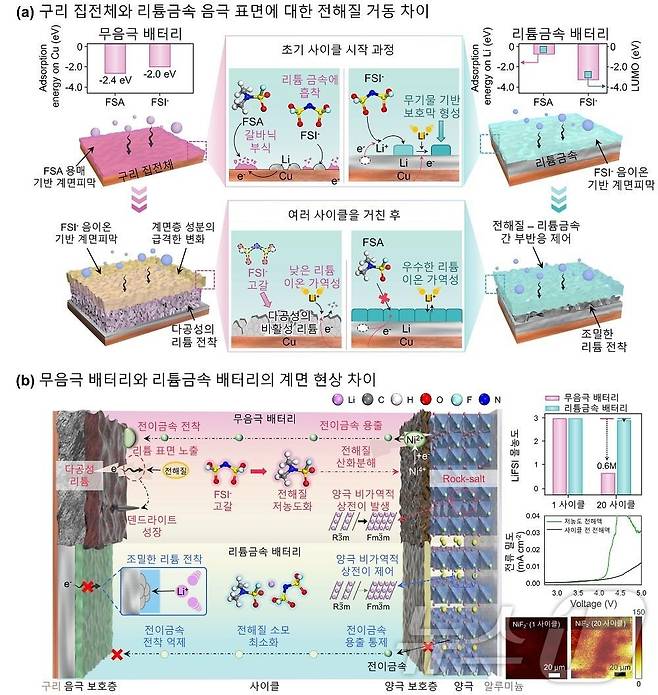 무음극 배터리와 리튬금속배터리의 작동 메커니즘 등.(KAIST 제공)/뉴스1