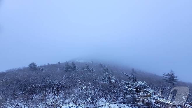 강원 산지 아침 최저기온이 1도 안팎으로 떨어진 5일 강원 양양군 설악산 중청대피소 일대에 2㎝ 안팎의 눈이 쌓여있다.(설악산국립공원사무소 제공) 2024.11.5/뉴스1 ⓒ News1 윤왕근 기자