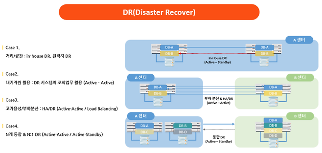 쉐어플렉스의 DR 프로세스