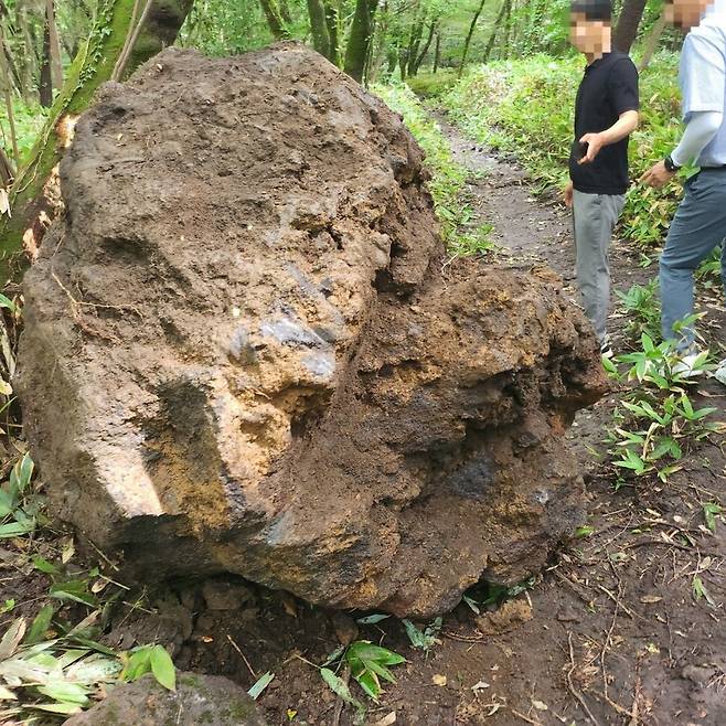 한라산국립공원 인근에서 훔쳐 트럭으로 운반하다 등산로에 떨어뜨린 4t 무게의 자연석. 제주도 자치경찰단 제공