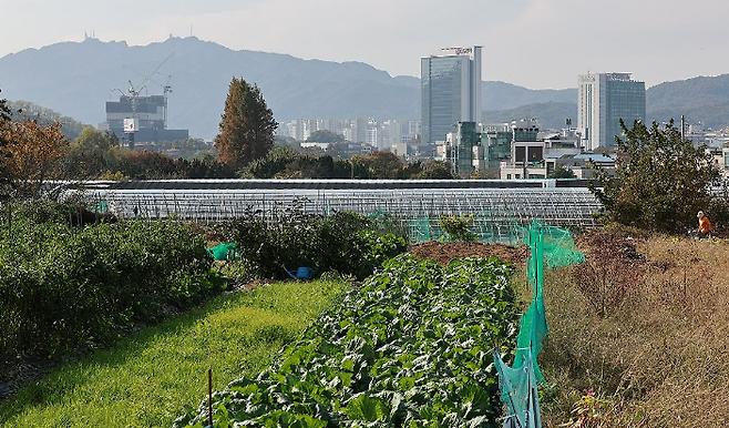 서울 서초구 염곡동의 개발제한구역 모습. 연합뉴스