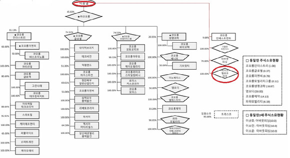 코오롱그룹 지분 구조도.