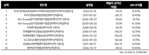 국내주식형 액티브 ESG펀드 2024년 상반기 수익률 상위 10개. 자료 : 서스틴베스트