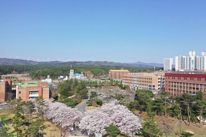 선린대 전경. 대학 제공