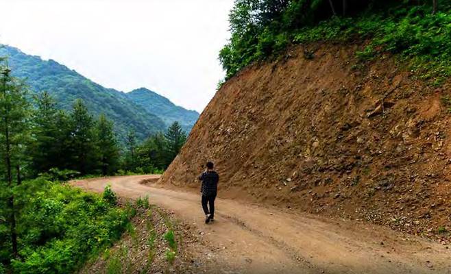 대암산의 산불예방임도. 일반 임도보다 더 넓다 [그린피스·산과자연의친구 우이령사람들]