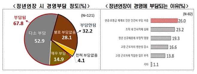 [서울=뉴시스]한국경제인협회가 여론조사기관 리서치앤리서치에 의뢰해 국내 종업원 300인 이상 기업 인사노무 분야 담당자를 대상으로 실시한 '고령자 고용정책에 관한 기업인식 조사' 결과. (사진 = 한경협) 2024.11.04. photo@newsis.com   *재판매 및 DB 금지