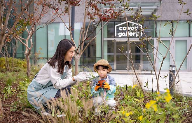 [서울=뉴시스] 코웨이 임직원 가족이 '코웨이 생태숲 1호'에 식재된 멸종위기 식물을 가꾸고 있다. (사진=코웨이 제공) 2024.11.05. photo@newsis.com *재판매 및 DB 금지