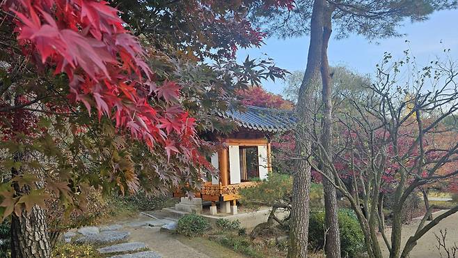 ◇호암미술관은 가을 단풍의 성지로 불린다. 보화문을 시작으로 미술관에 다다르기까지 울긋불긋 단풍이 가을 정서를 깨운다. 사진=김세형