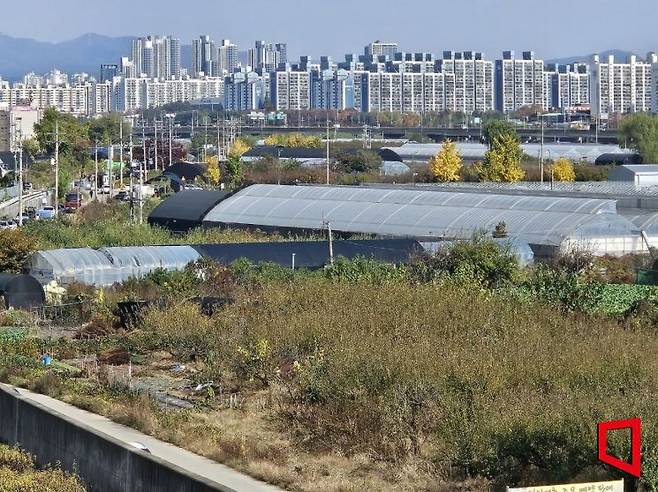 경기 고양시 대곡지구에 비닐하우스와 밭이 있다. 박승욱기자