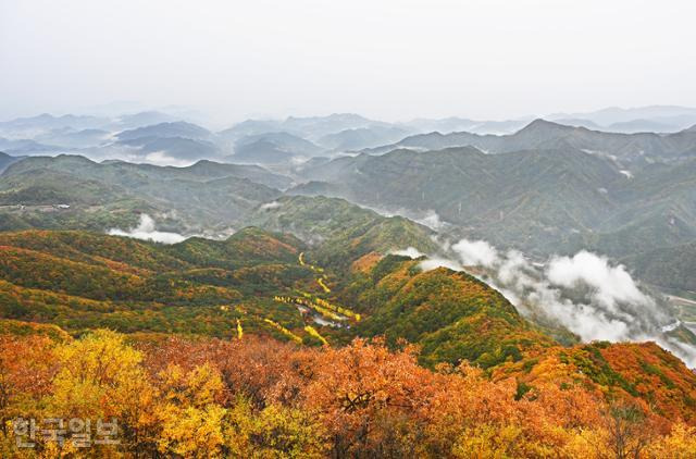 무주 적상산 전망대에서 내려다보는 가을 풍경. 지난 1일 해발 1,000m 부근 정상의 나뭇잎이 붉게 불든 반면 산 아래는 아직 푸른 기운이 감돈다. 이른 아침에 오르면 무주호에서 피어오르는 물안개가 몽환적인 풍경을 연출한다.