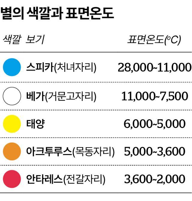 그래픽=송정근 기자