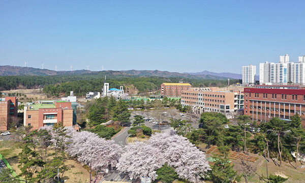 포항 선린대학교 캠퍼스 전경. 선린대 제공