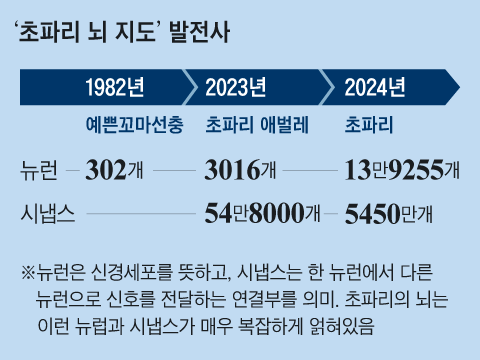 그래픽=김현국