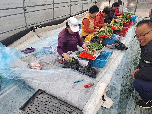 배해석 성주읍장(오른쪽)이 참외접목을 시작하는 지역 농가를 찾아 격려하고 있다 [사진=성주군]