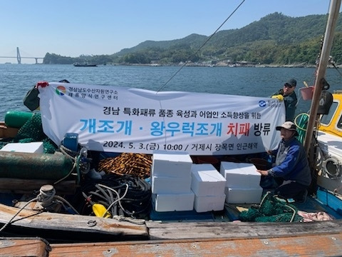 지난 5월 경남도수산자원연구소 관계자들이 개조개를 해역에 방류했다.  경남도 제공