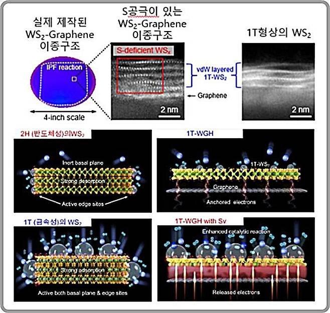 [대전=뉴시스] 기계연구원이 제작한 4인치 WS2-그래핀(Graphene) 이종구조와 원자층 단면 TEM 이미지. (사진=기계연구원 제공) 2024.11.07. photo@newsis.com *재판매 및 DB 금지