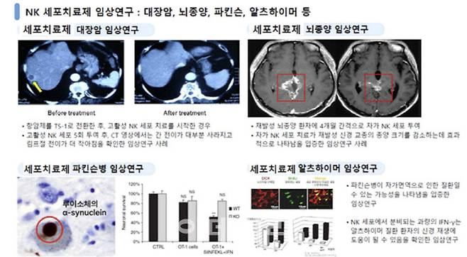 홍보자료에 항암효과가 임상시험을 통해 검증된 것처럼 광고한 내용(자료=서울서부지검)