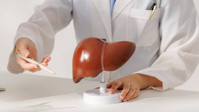 지방간은 대사 질환이 동반되는 사례가 많고, 드물지만 간암으로까지 이어질 수 있어 주의가 필요하다 ｜출처: 클립아트코리아