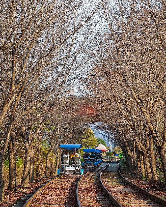 춘천 여행의 필수코스로 자리 잡은 가평 ‘전동레일바이크’(사진=한국관광공사 제공, 무단 전재-재배포 금지)