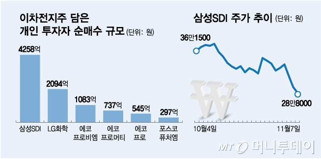 이차전지주 담은 개인 투자자/그래픽=김다나 기자