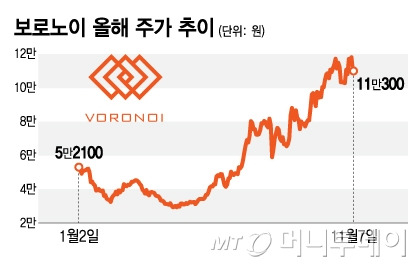 보로노이 올해 주가 추이/그래픽=김지영