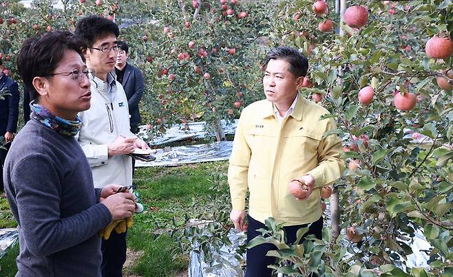 [창원=뉴시스]경남농협, 밀양 얼음골 사과 피해 현장점검.2024.11.08.(사진=경남농협 제공) photo@newsis.com *재판매 및 DB 금지