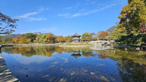 경복궁 후원인 향원정이 가을 향기로 가득하다. ‘향기가 멀리 퍼져 나간다’는 의미를 담은 향원정은 왕실의 휴식 공간으로 사용되던 2층 육각 정자다.