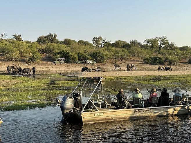 초베강 선셋 사파리 중 망원렌즈를 장착하고 코끼리떼를 촬영하고 있는 관광객들.