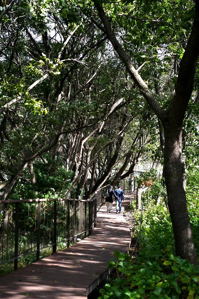 대곡저수지 산책로.