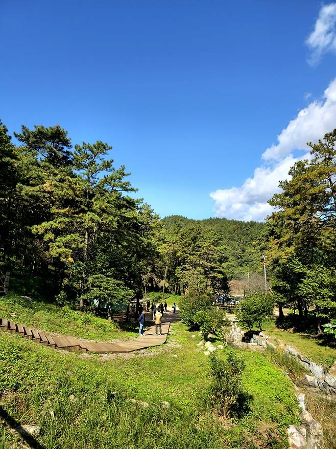 무안 물맞이 치유의 숲 산책로.