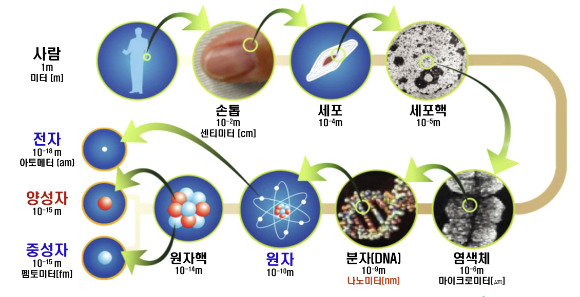 원자는 모든 물질의 기본이다. [사진=한국원자력연구원]