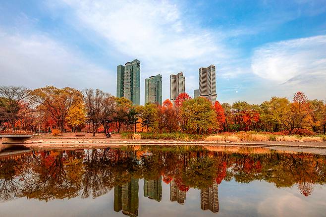 단풍으로 붉게 물든 서울숲 전경. [사진=서울관광재단]