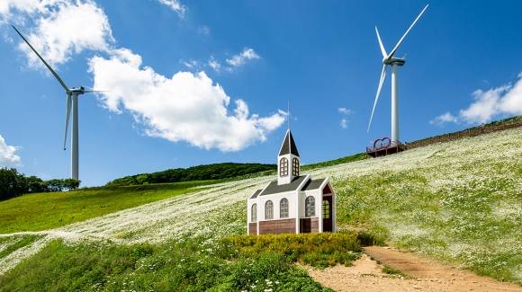 육백마지기에 있는 샤스타데이지밭은 6~7월에 아름다운 샤스타데이지를 보기 위해 사람들의 발길이 끊이질 않는다. 사진: 평창문화관광 사이트.