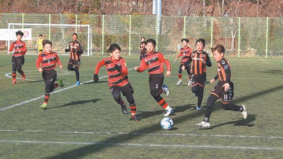 한 초등학교 축구팀이 전남 완도군에서 전지훈련을 하는 모습. 기사와 관련 없음. 사진 전남도