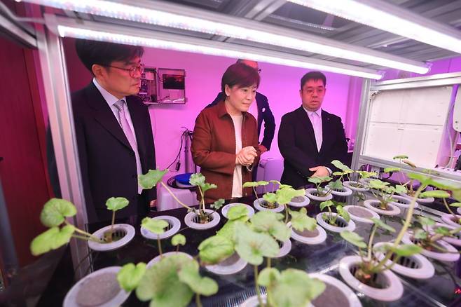 송미령 농림축산식품부 장관이 지난달 17일 부산에 소재한 대한제강 신평공장을 찾아 폐열 활용 시설과 수직농장을 비롯한 스마트팜을 둘러보고 있다. 농림축산식품부 제공