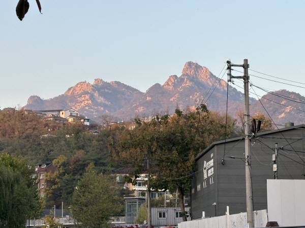 아이폰 16 Plus로 3배 줌으로 찍었다. 정옥재 기자
