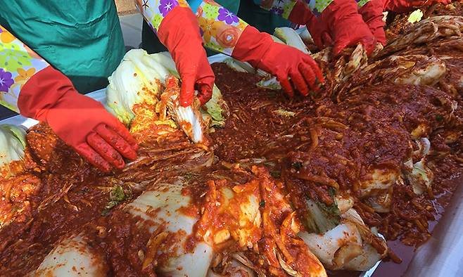 하나금융그룹 임직원들이 11일 오전 서울 중구 하나금융그룹 명동사옥에서 열린 '2024 모두하나데이 사랑의 김장나눔' 행사에서 김장을 하고 있다.