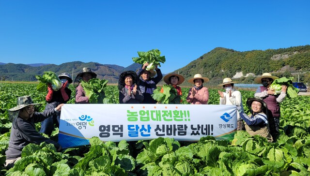 영덕 달산지구에서는 영농조합법인과 30농가가 공동으로 기존에 벼농사를 짓던 21㏊ 농지에 여름철은 콩과 봄배추, 겨울철은 양파와 가을배추를 재배하고 있다.   경북도 제공