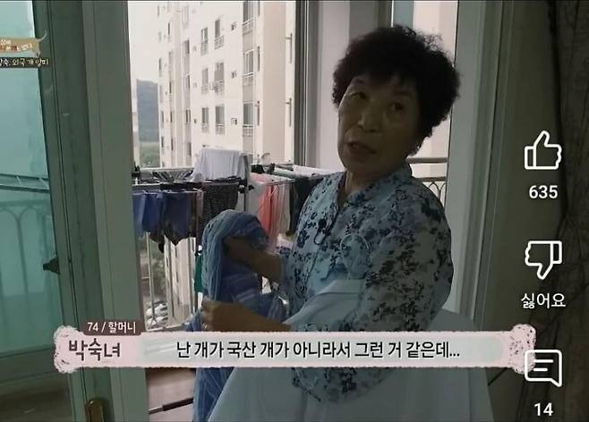 할머니가 생각하는 포메가 4가지 없는 이유.jpg