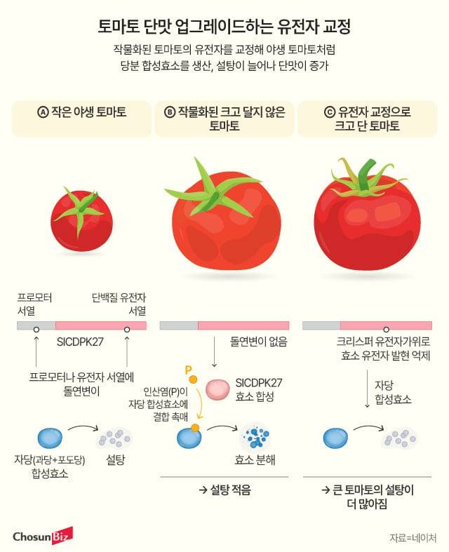 그래픽=정서희