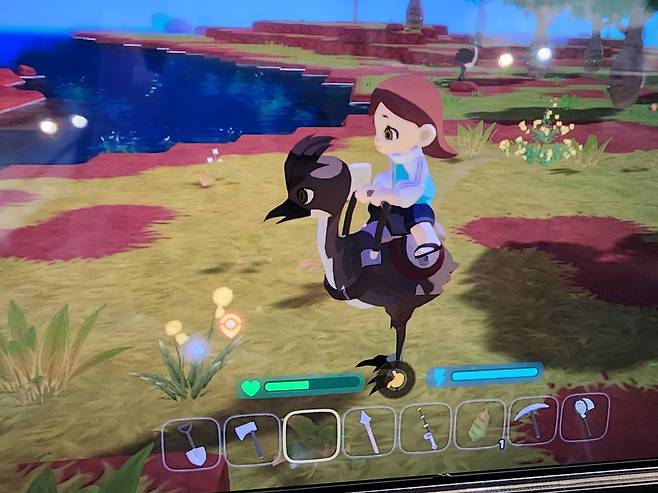 우측 하단 파란색 게이지가 스태미너, 좌측은 체력인데 캥거루와 싸우다 닳았다