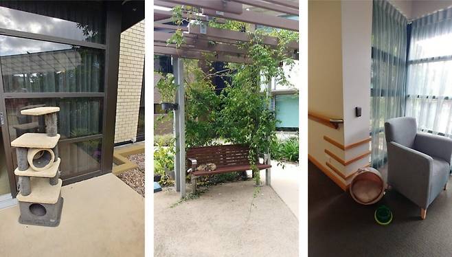 호주의 존 웨슬리 가든즈 에이지 케어 커뮤니티. 외부에 있는 고양이타워와 거주공간 복도에 있는 고양이집이 인상적이다.